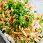 Chinese chicken salad angled shot