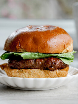 teriyaki burger closeup shot from the front of a fully assembled burger
