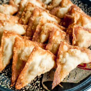 Closeup of Fried Beef Wontons