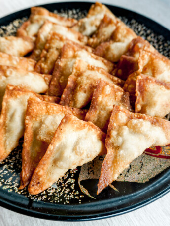 Closeup of Fried Beef Wontons
